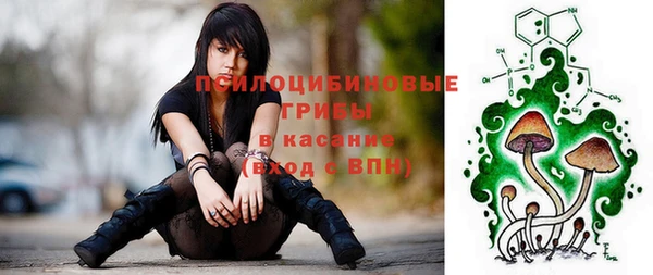 2c-b Абдулино
