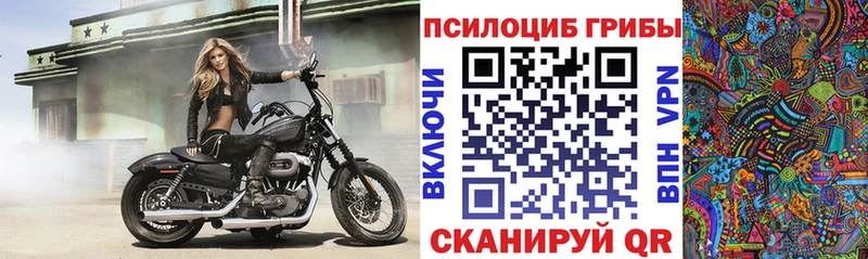 omg рабочий сайт Правдинск Псилоцибиновые грибы мухоморы